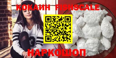 spice Гатчина