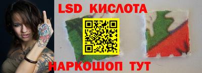 spice Гатчина