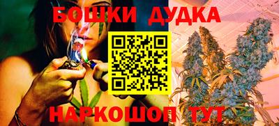 spice Гатчина