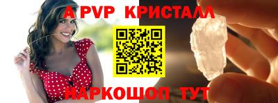 spice Гатчина