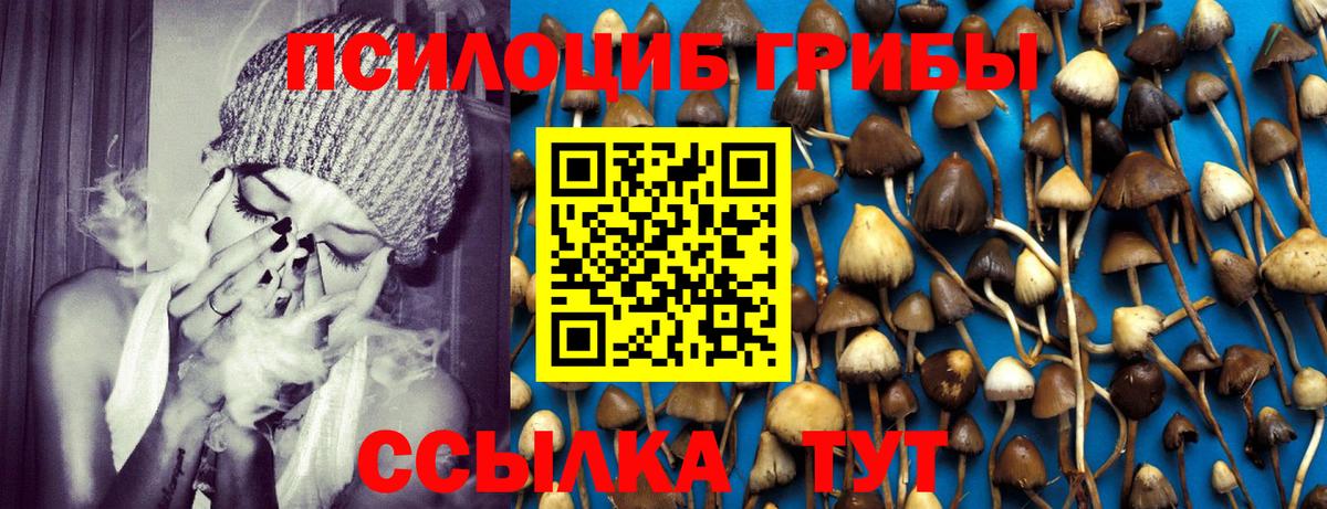 Златоуст  Галлюциногенные грибы Psilocybine cubensis  Вход с VPN  Псилоцибиновые грибы Cubensis 